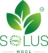 Logo of Solys HOCL